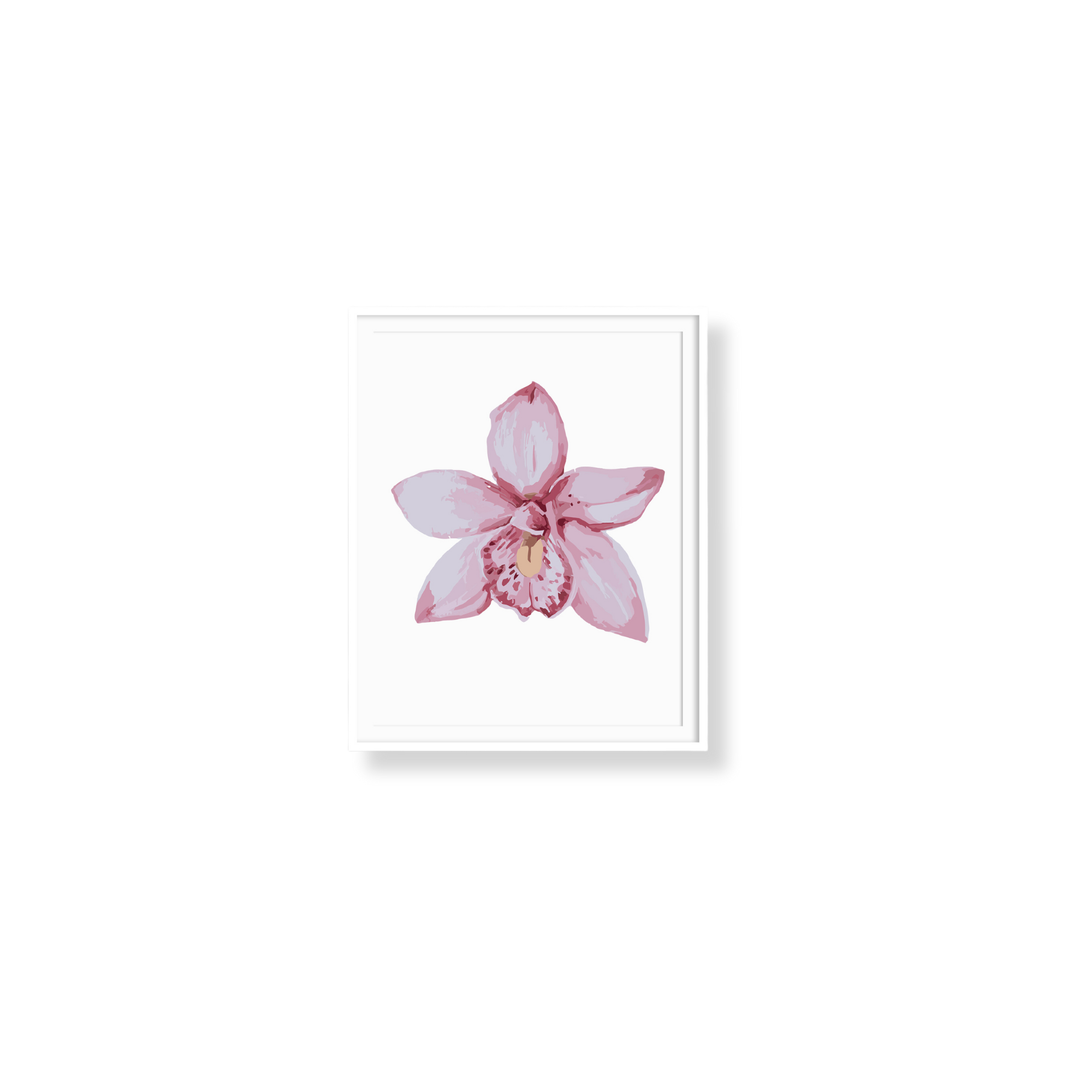 Orchid II (Mini Rolled)